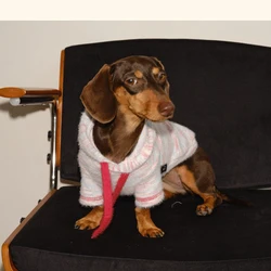 Sudadera polar coral para perros pequeños – Abrigo cálido de invierno