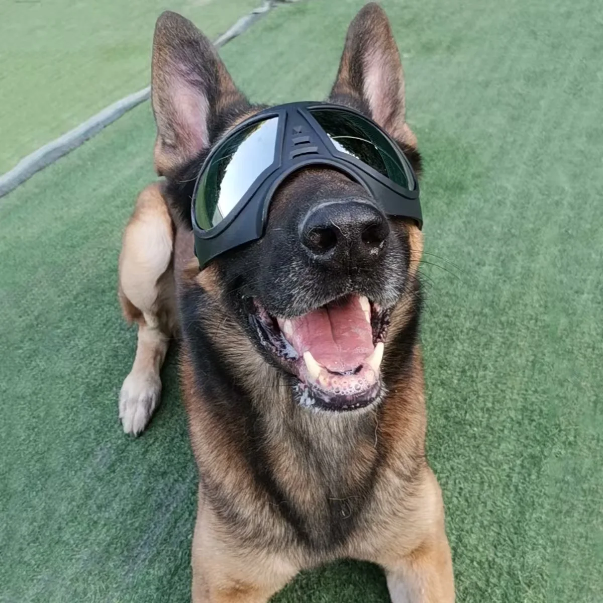 Gafas de sol anti-UV para perros grandes – Protección solar y viento - imagen 5