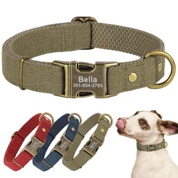 Collar identificativo con placa para perro – Nylon regulable