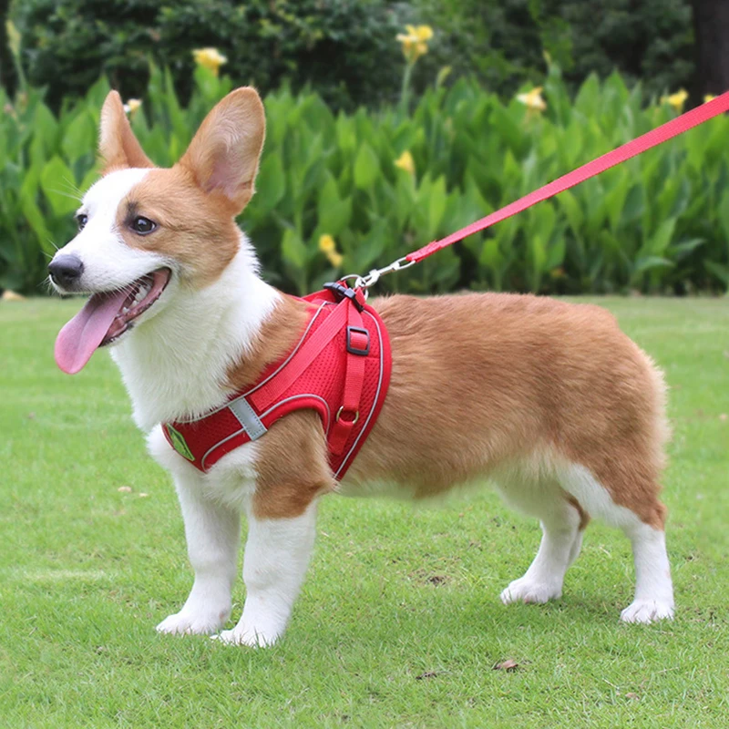 Arnés reflectante para perro – Ajustable y transpirable