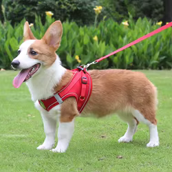 Arnés reflectante para perro – Ajustable y transpirable
