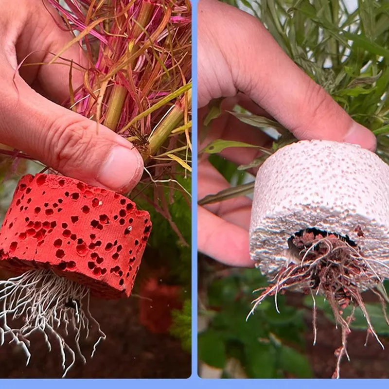 Anillas con peso para fijar plantas de acuario – Soporte estable - imagen 3