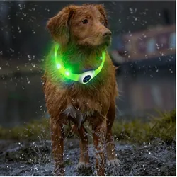 Collar LED USB luminoso para perros – Resistente agua seguridad nocturna