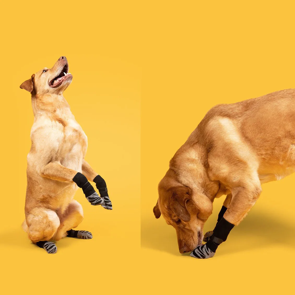 Calcetines antideslizantes para perros para pisos de madera dura, evitan que lamer y resbalones, botines gruesos para perros con pinzas para perros pequeños, medianos y grandes - imagen 4