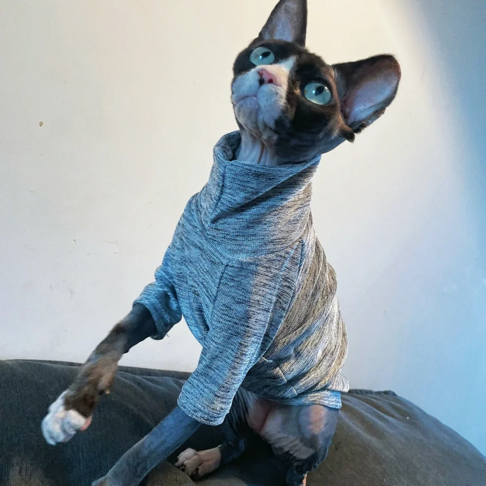 Sphynx Cat Camiseta gris de cuello alto en primavera Manga larga Abrigo suave para gatos sin pelo Ropa de estar por casa respetuosa con la piel para gatitos perros - imagen 3