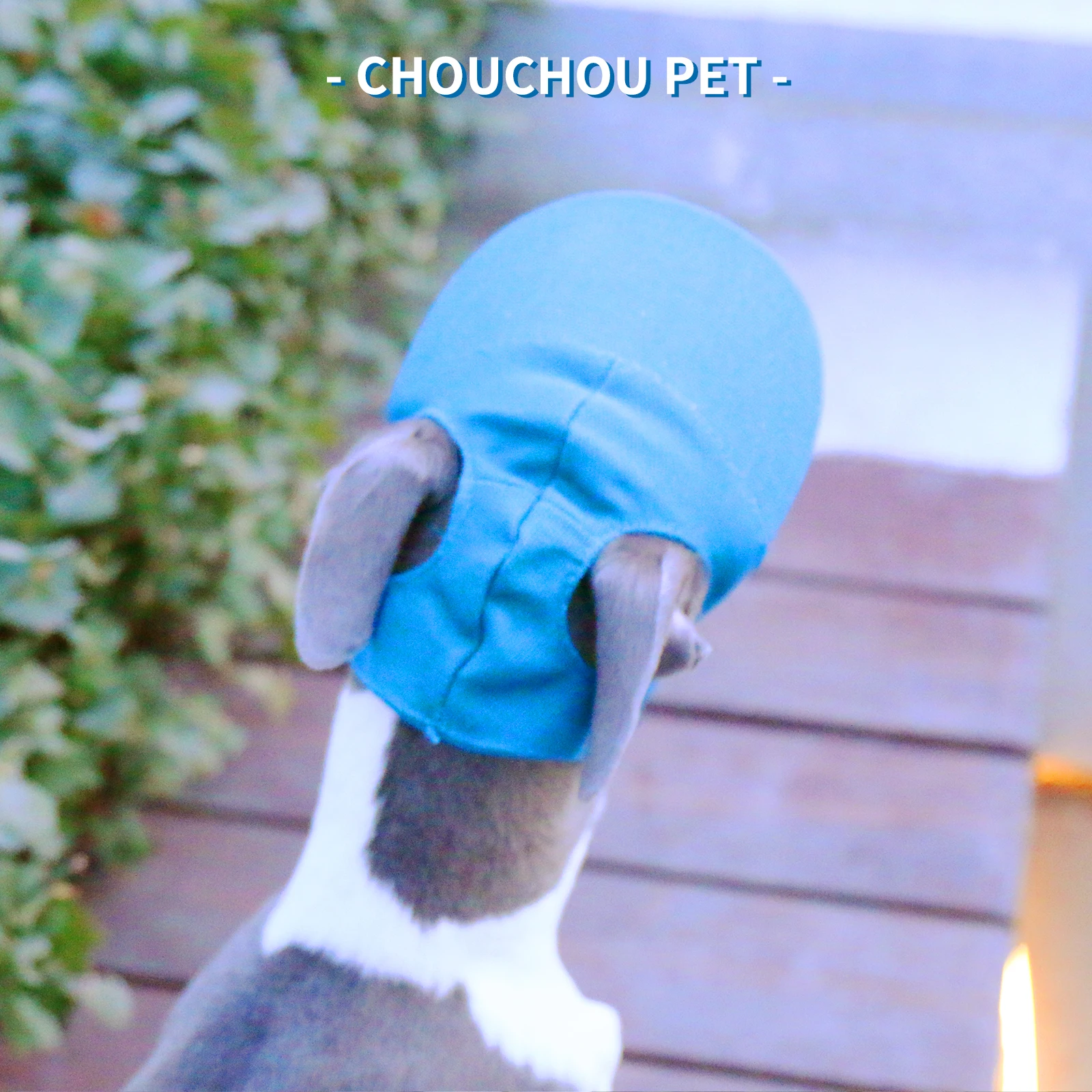 Una gorra de béisbol transpirable para perros, sombrero para el sol para mascotas para uso al aire libre, sombrero para el sol informal para perros, sombrero moderno y fresco para gatos y perros - imagen 2