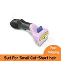 Cat S-short hair
