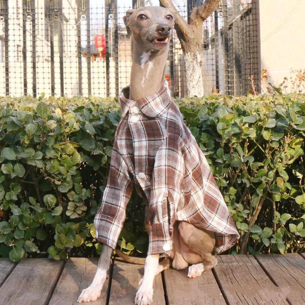 Abrigo de primavera de manga larga de algodón a la moda para perros Terrier, camisa a cuadros suave para chaqueta Whippet de galgo italiano en otoño - imagen 2