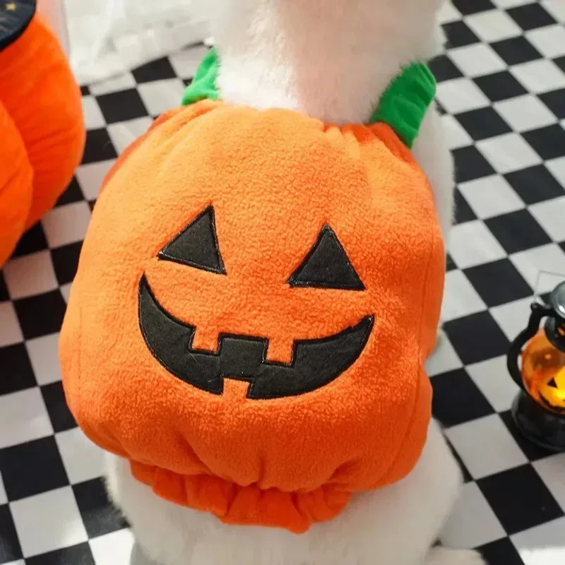 Lindo disfraz de calabaza para mascotas de Halloween: chaqueta y sombrero de dos patas para perros y gatos, divertido traje de linterna - imagen 5