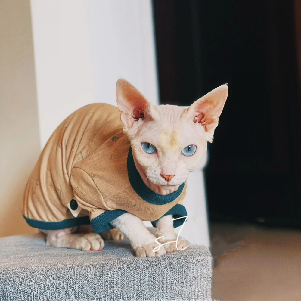 Ropa de gatos Camisa de dibujos animados de algodón de primavera para Sphynx Abrigo de manga larga para gatitos Sudadera caqui de moda de verano para Devon Rex - imagen 3