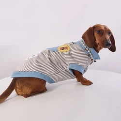 Ropa para dachshund – Camiseta primavera y chaleco de verano