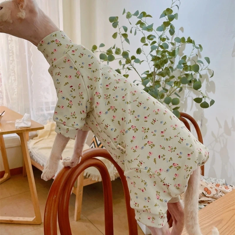 Chaqueta de algodón suave y cálida para gatos esfinges chaqueta femenina de primavera y otoño flor mono gatito sudadera dewenrex pijama