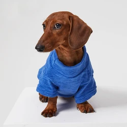 Jersey para perro salchicha azul de algodón – cómodo y práctico