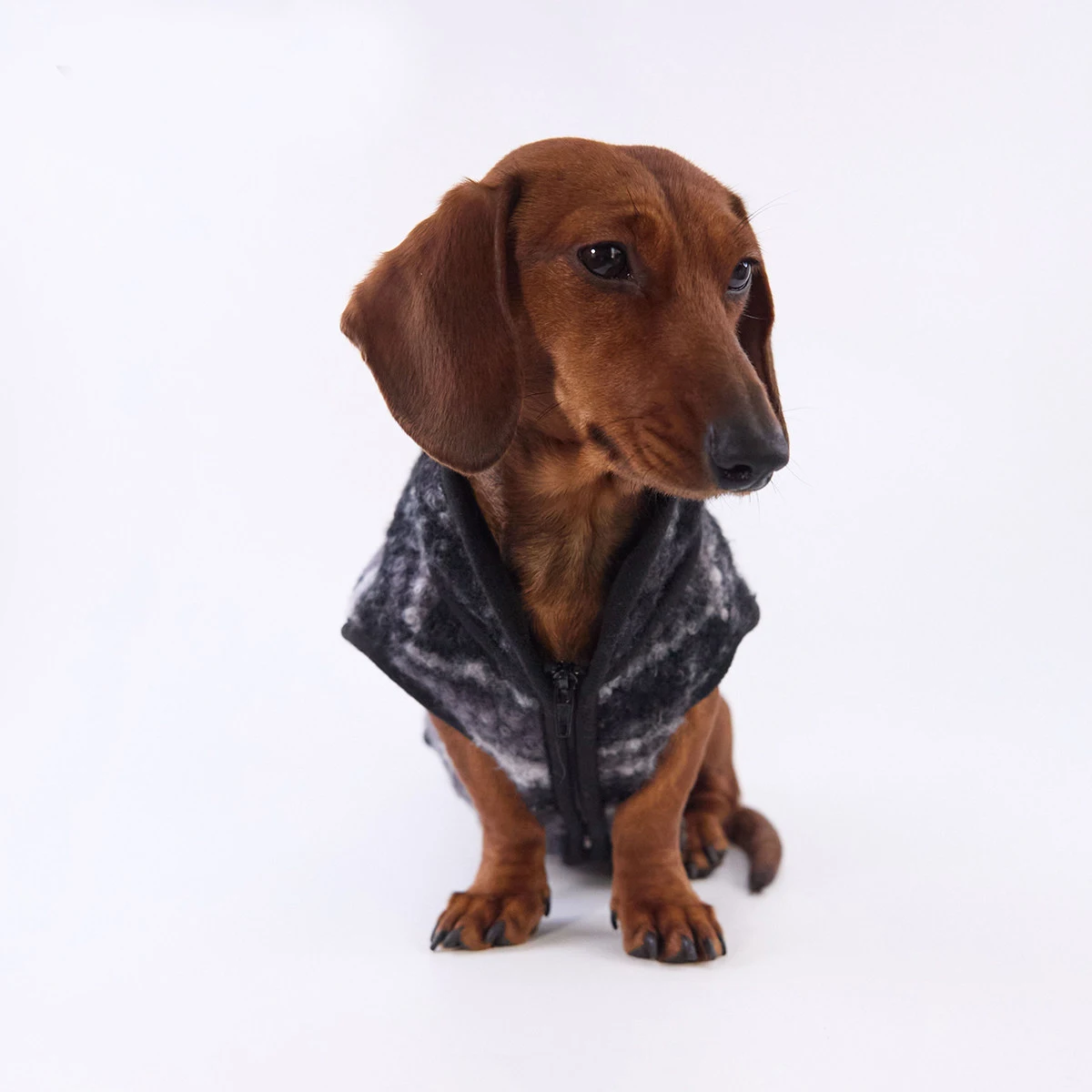 Abrigo forro polar para perro salchicha – Cálido invierno - imagen 4