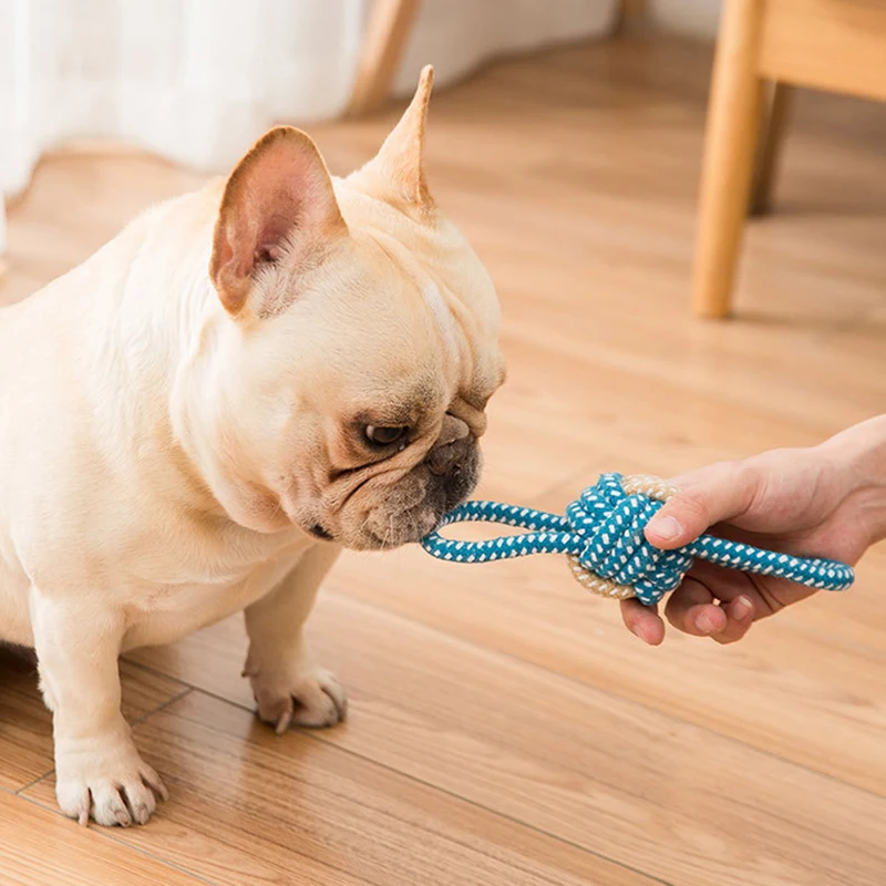 Mini juguetes interactivos de cuerda de algodón para perros, pelota para perros, accesorios, cepillo de dientes, juguete para masticar cachorros para perros grandes y pequeños, juguete para perros - imagen 2