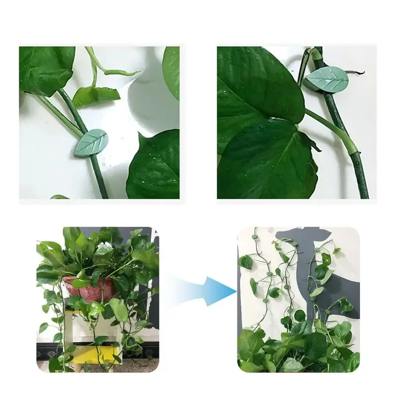 10 Uds. Clips de hojas con hebilla, hebilla fija para pared trepadora de plantas, Clips en forma de hoja, accesorios de soporte para escalador de vid y flores autoadhesivas - imagen 5