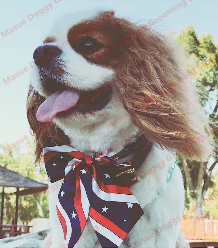 50/100 Uds. Pajaritas para perros a granel para perros pequeños, pajarita para perros, corbatas mezclan 50 colores, accesorios para el cuidado de mascotas - imagen 3