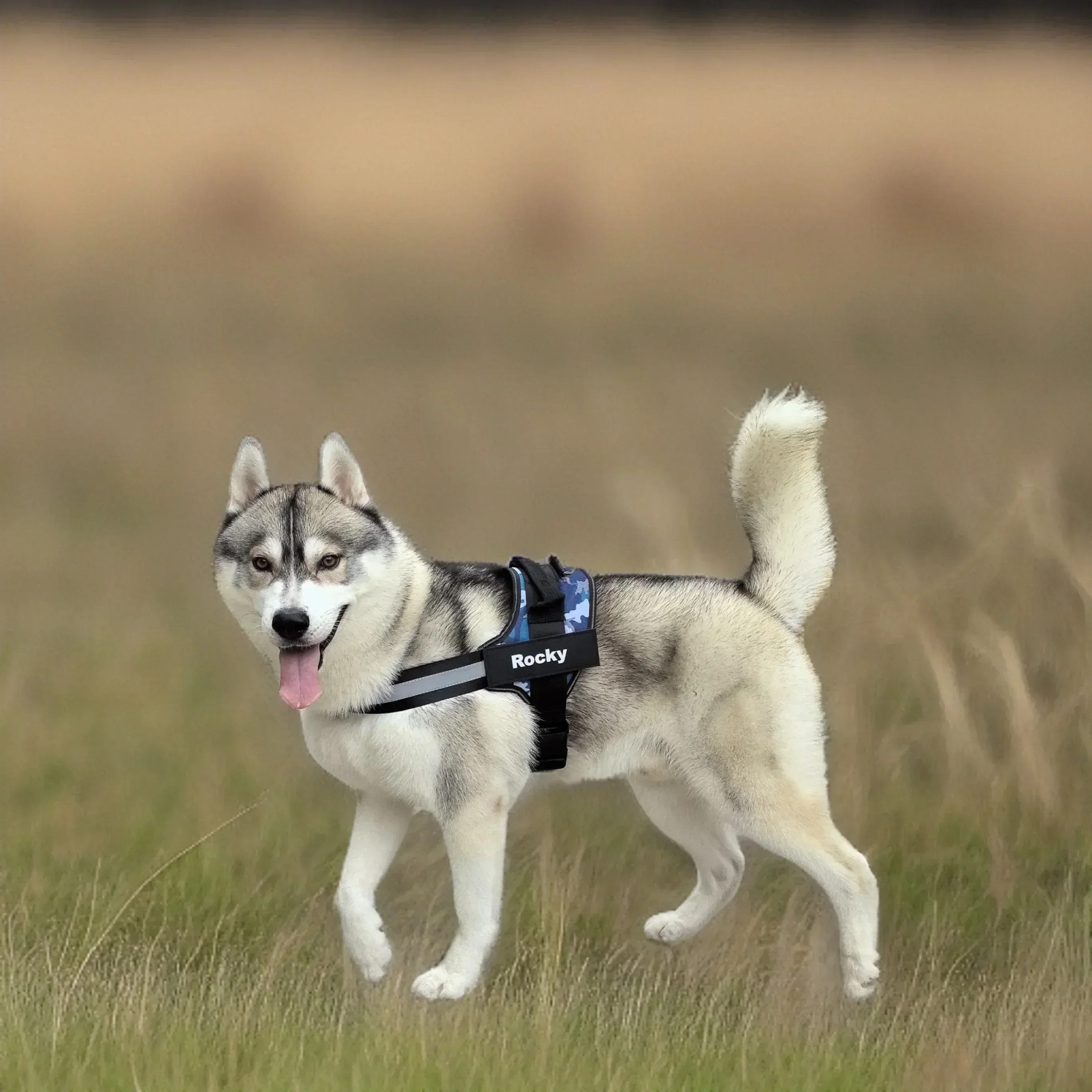 Parche personalizado de identificación de arnés de cuello de perro, chaleco reflectante transpirable sin tirar para perro de bolsa pequeña, arnés para perro para cachorro, suministros para perros - imagen 5
