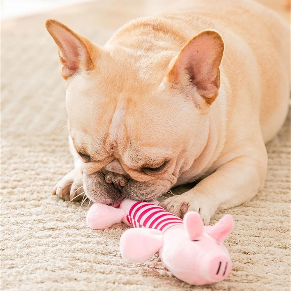 Varios juguetes de cerdito para perro en diferentes colores