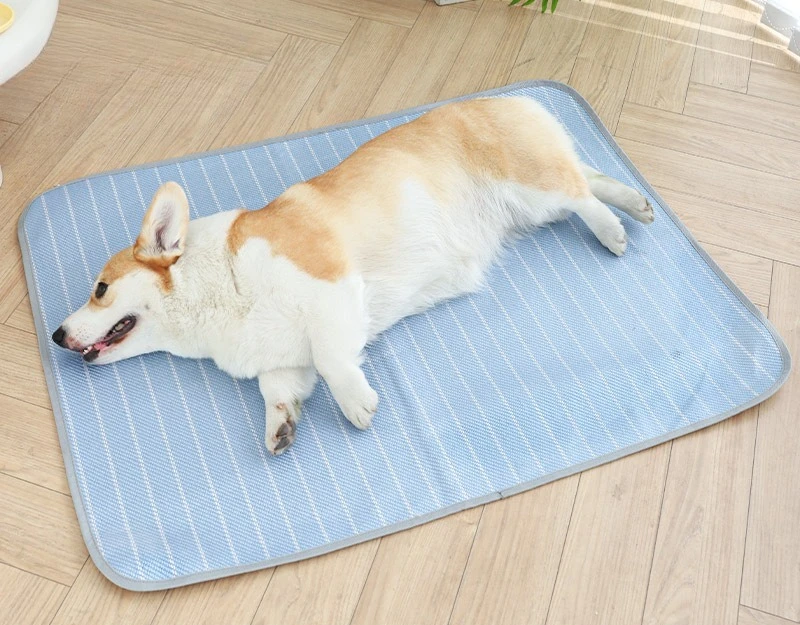 Blue Pet Cooling Mat