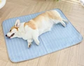 Blue Pet Cooling Mat