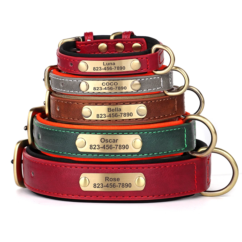 Collar nombre grabado – Cuero PU acolchado para perro - imagen 2