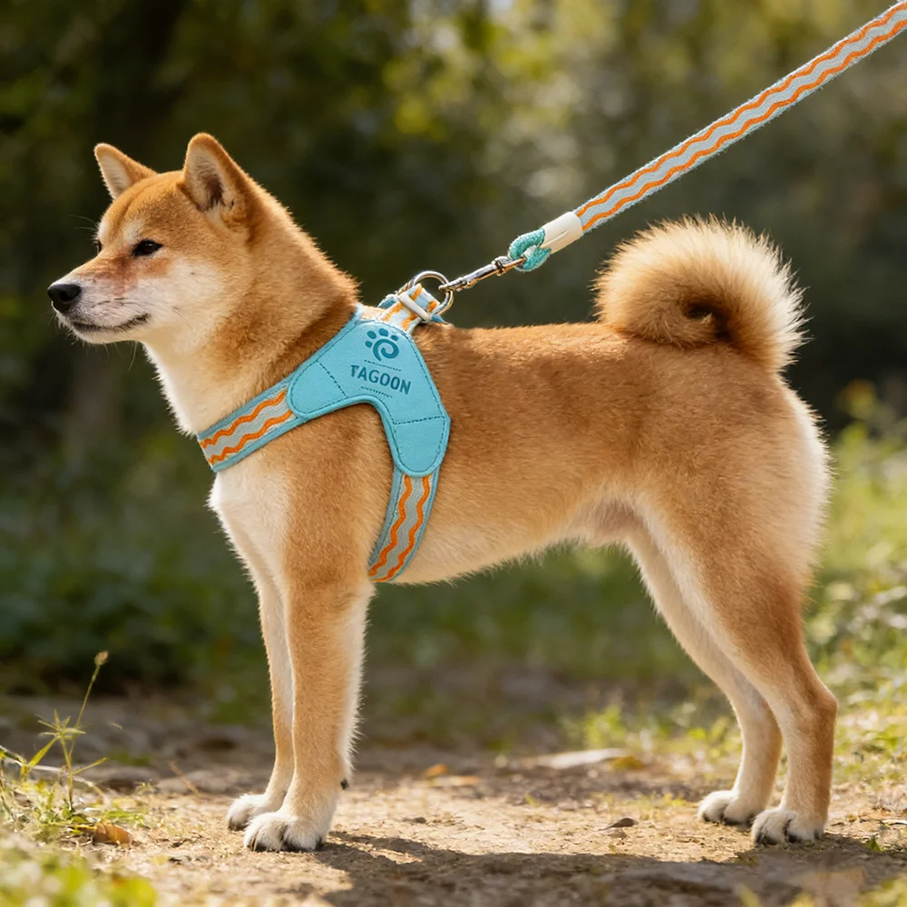 Arnés de malla para perro pequeño Schnauzer y Shiba Inu - imagen 5