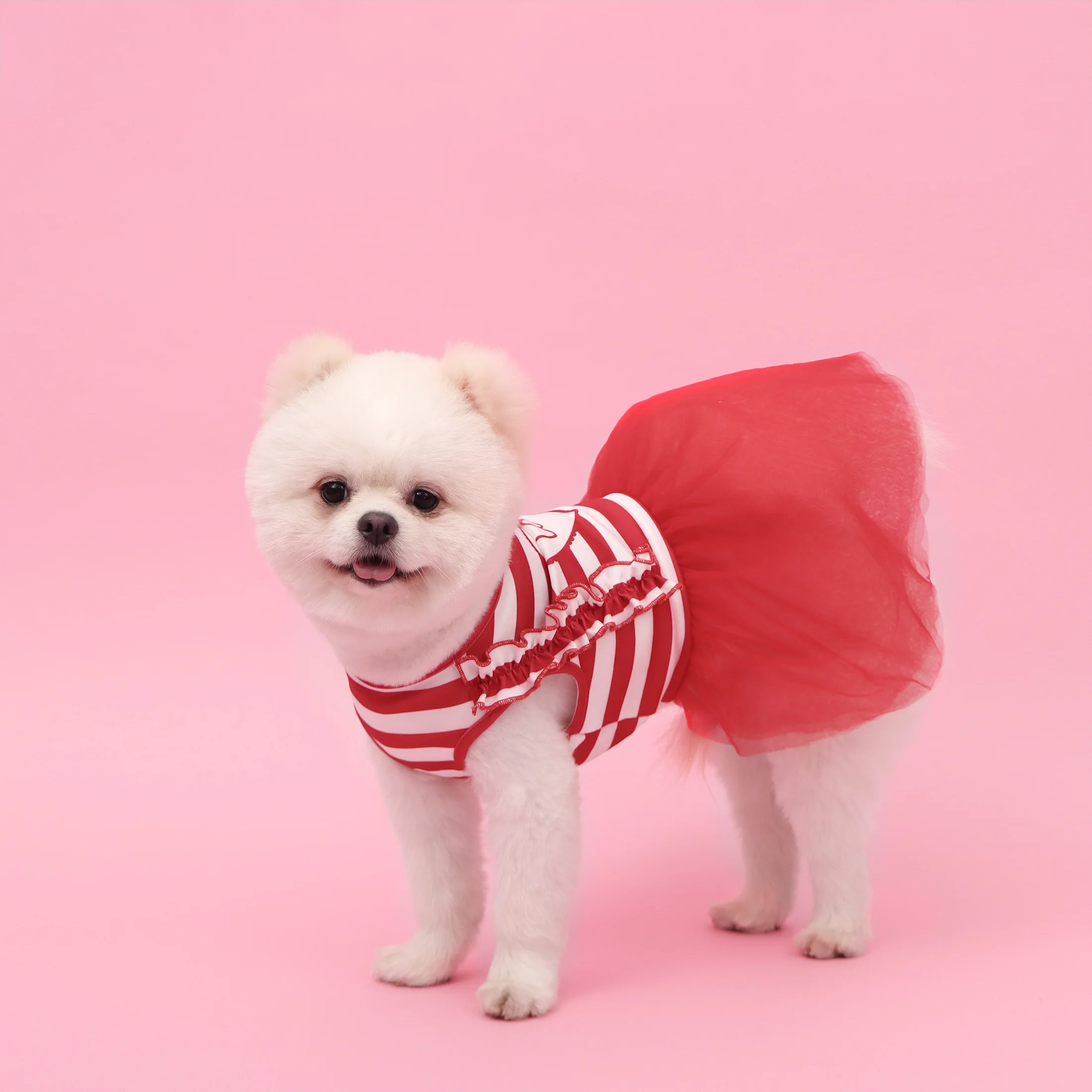Vestido tutú para perros y gatos pequeños – Diseño San Valentín - imagen 3