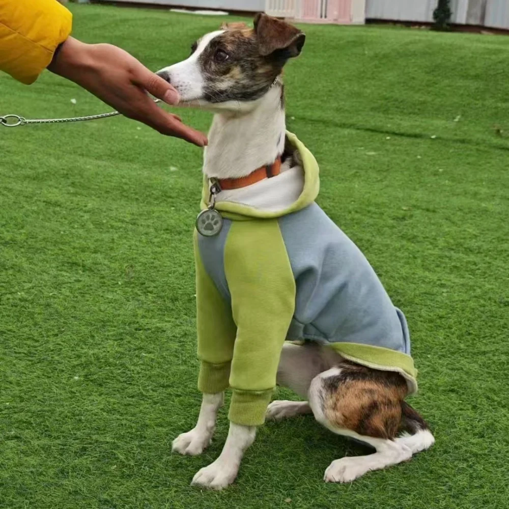 Abrigo de lana verde suave para ropa de perro Huibit, sudadera elástica de primavera y otoño para pijamas con capucha Bedlington Little Greyhound - imagen 3
