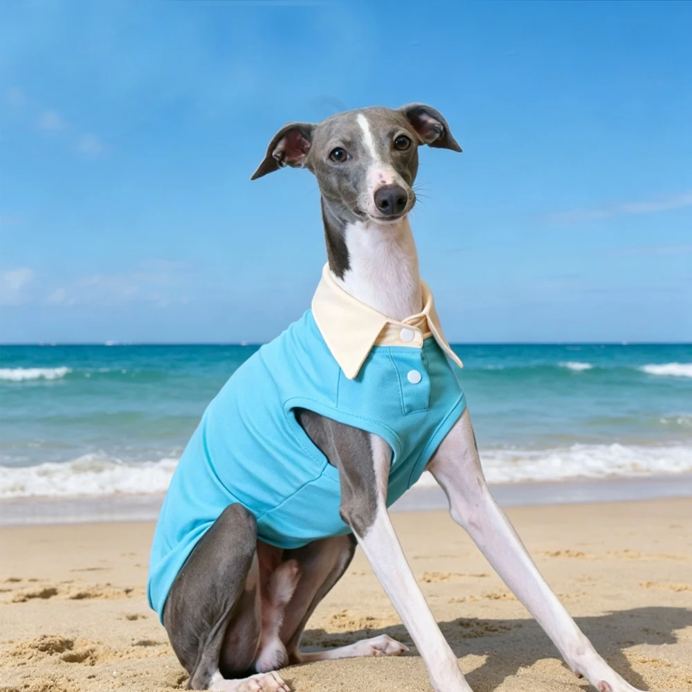 Chaleco suave de algodón para Galgo Italiano y Whippet - imagen 2