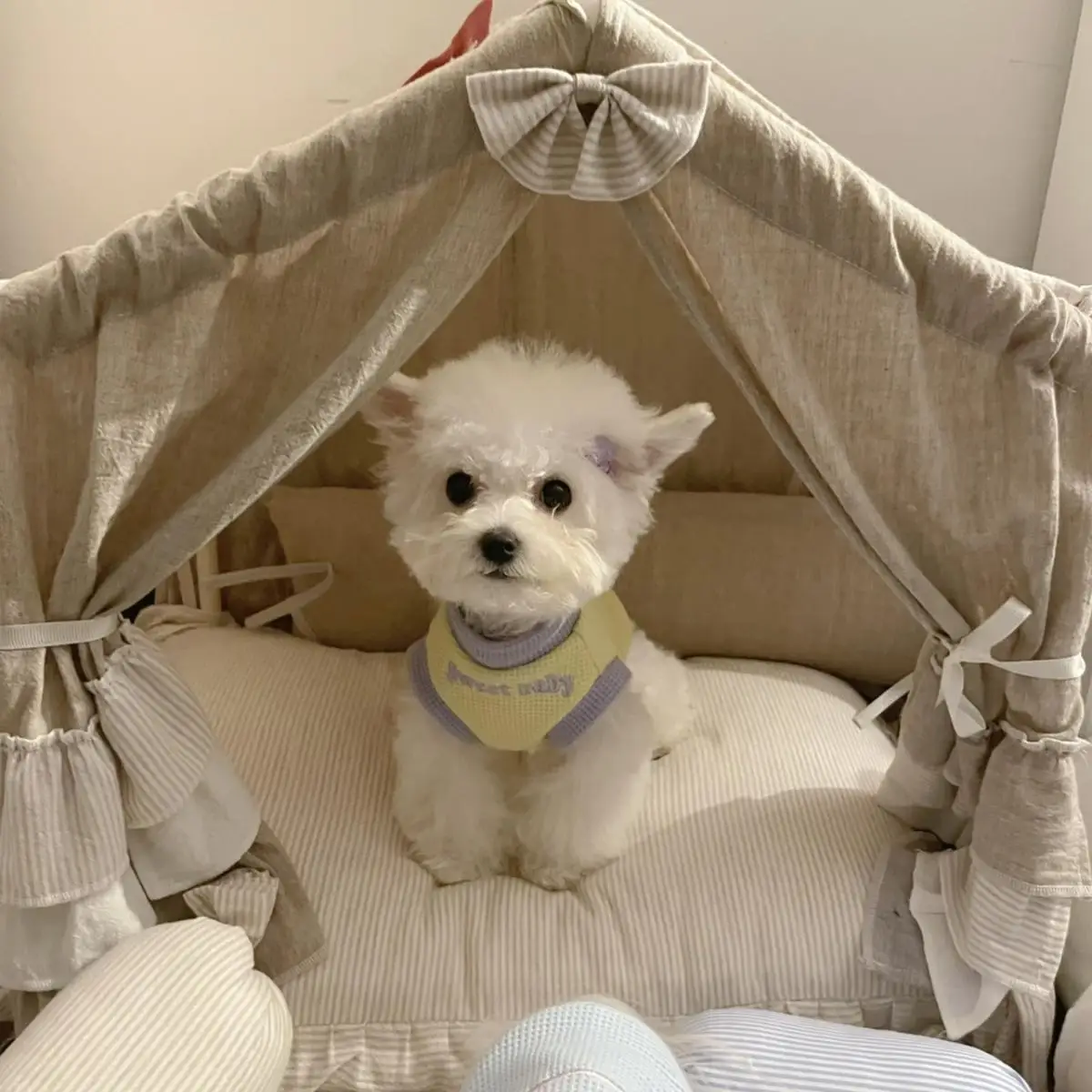 Camiseta sin mangas tipo gofre para primavera/verano para mascotas, camiseta sin mangas con cuello de contraste bordado bonito, ropa para cachorros de edición fina para perros pequeños de peluche - imagen 4