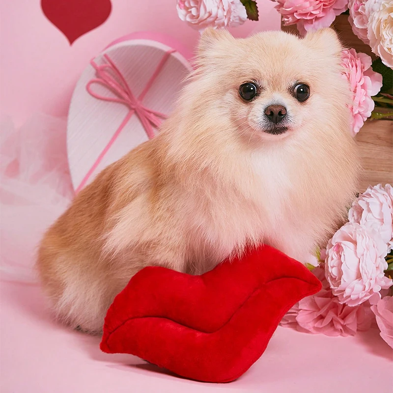 Juguete de peluche para mascotas, labios rojos, juego interactivo, boda, día de San Valentín, regalos de fiesta - imagen 5