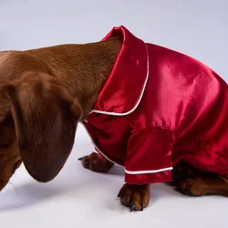 Mono de seda para perros pequeños y medianos – Dachshund
