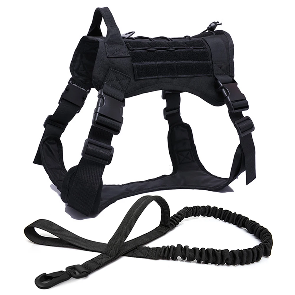 BK harness leash