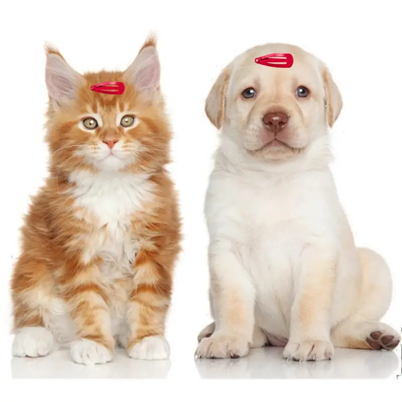 Nuevo Mini Clip de gota de agua Bb colorido de 2cm, horquilla de varios colores para mascotas, suministros de cuidado del cabello para cachorros, accesorios para perros y gatos - imagen 5