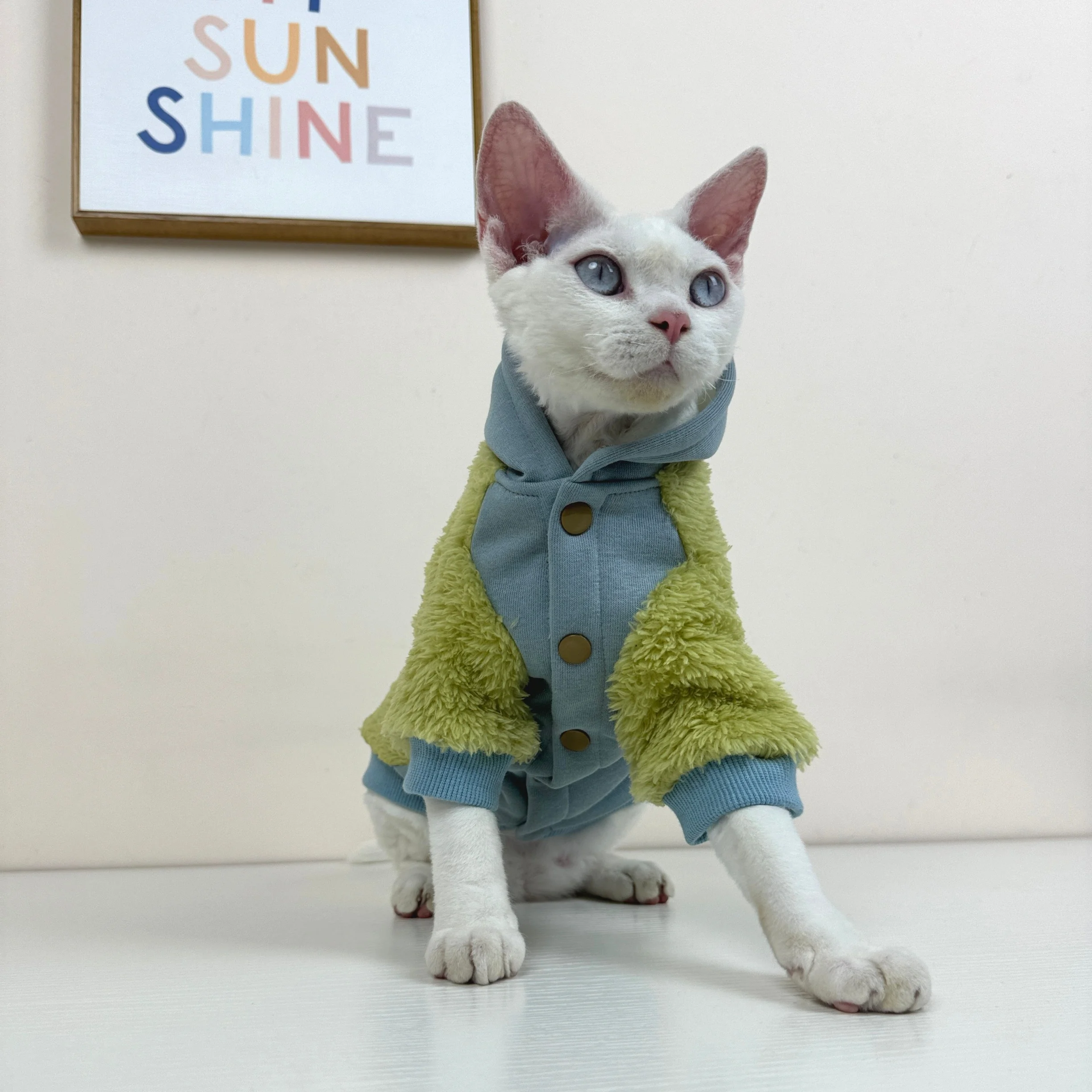 Cárdigan de forro polar grueso para gatos Sphynx invierno con capucha - imagen 2