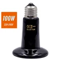 100W 2pcs