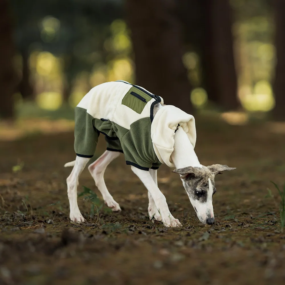 Ropa de terciopelo de lujo para cachorros, ropa cálida y suave para perros pequeños y medianos, con cuello alto y a prueba de viento para galgos/whippets en invierno - imagen 2