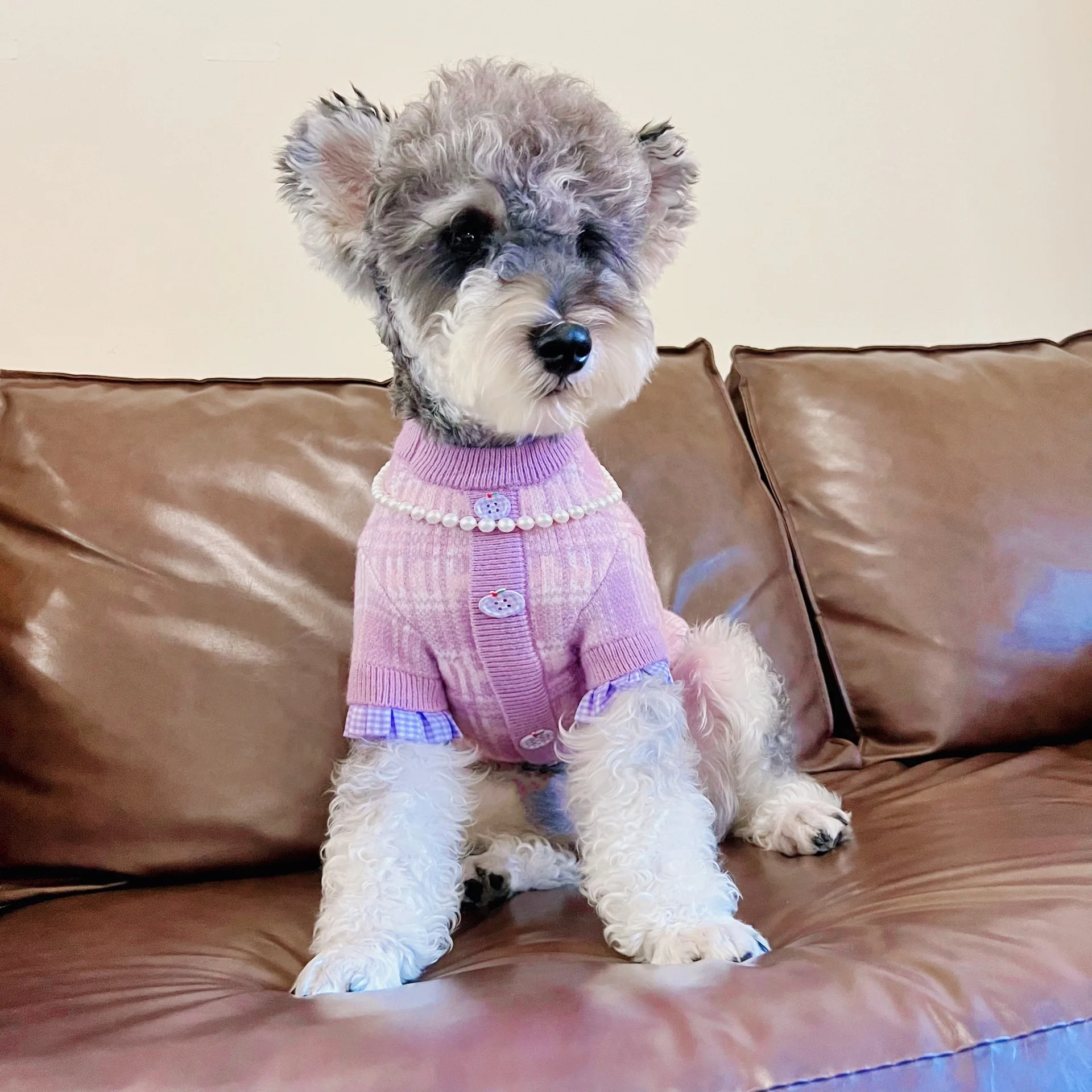 Camisa de suéter a cuadros para mascotas para calidez de otoño e invierno, abrigo de peluche Schnauzer para gatos, ropa para perros pequeños, ropa para cachorros - imagen 3