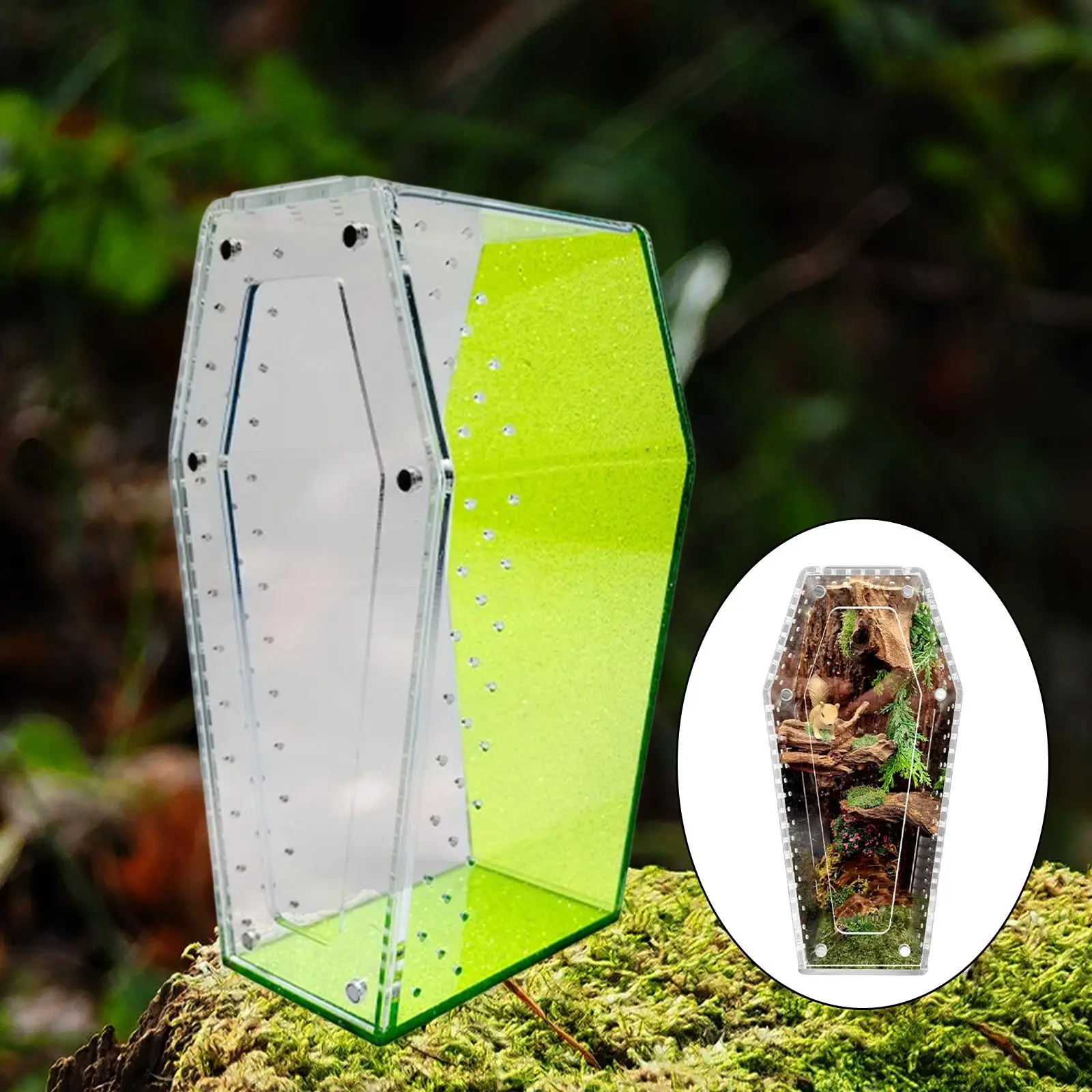 Vivarium con recinto de araña saltadora, terrario acrílico para reptiles, para cría, oración, cangrejo ermitaño en casa, Animal terrestre o arboreal