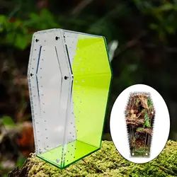 Terrario acrílico para reptiles y arañas – Hábitat pequeño versátil