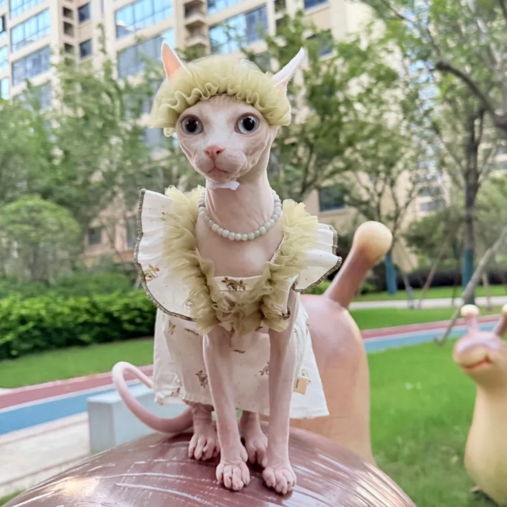 Vestido de algodón de encaje floral Sphynx con cinturón para el cabello de gato traje para gatos hembras falda de princesa suspendida verde de verano chaleco para gatitos - imagen 3