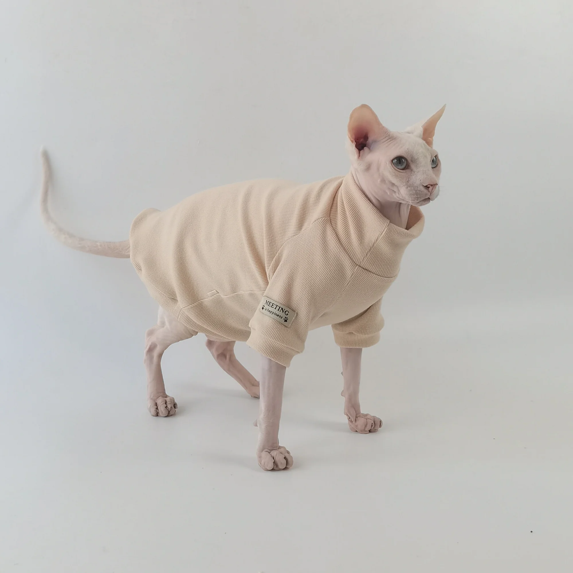 Camiseta de algodón caqui para gatos Sphynx y Devon Rex - manga larga - imagen 5