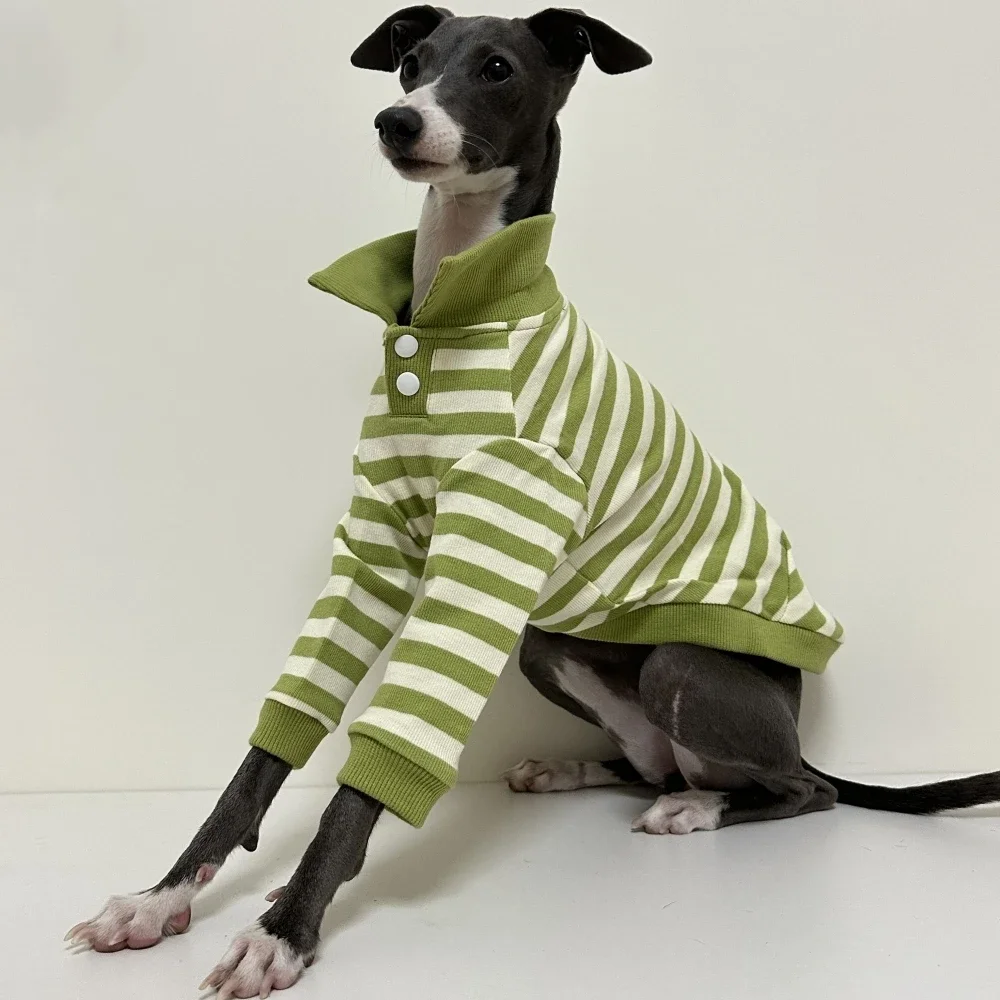 Camisa polo verde a rayas para perros Bedlington e Italian Greyhound