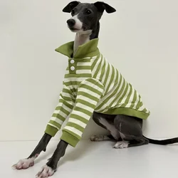Camisa polo verde a rayas para perros Bedlington e Italian Greyhound