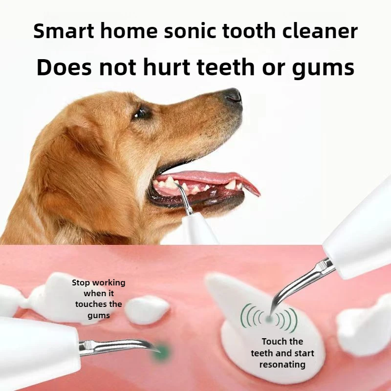 Removedor ultrasónico de cálculo para perros, máquina de limpieza de dientes para perros y mascotas, accesorios de cuidado Personal para cachorros, producto de belleza para limpieza dental - imagen 4