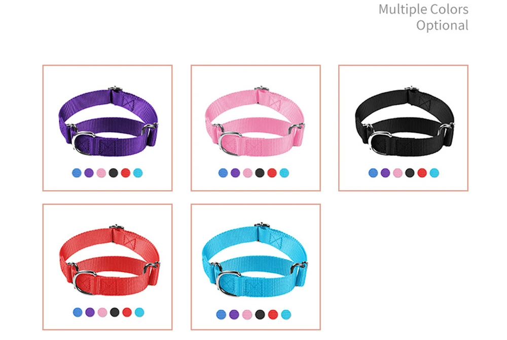 Martingale Collar de perro de nailon resistente para razas pequeñas, medianas y grandes Collar de entrenamiento de seguridad ajustable - imagen 2