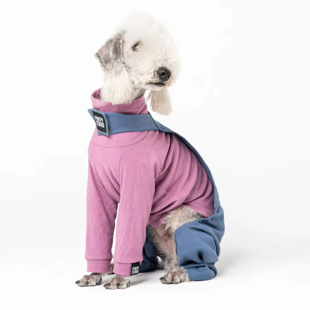 Conjuntos de ropa para perros Whippet Berlington Terrier, ropa de retales de lujo para galgo italiano en primavera e invierno