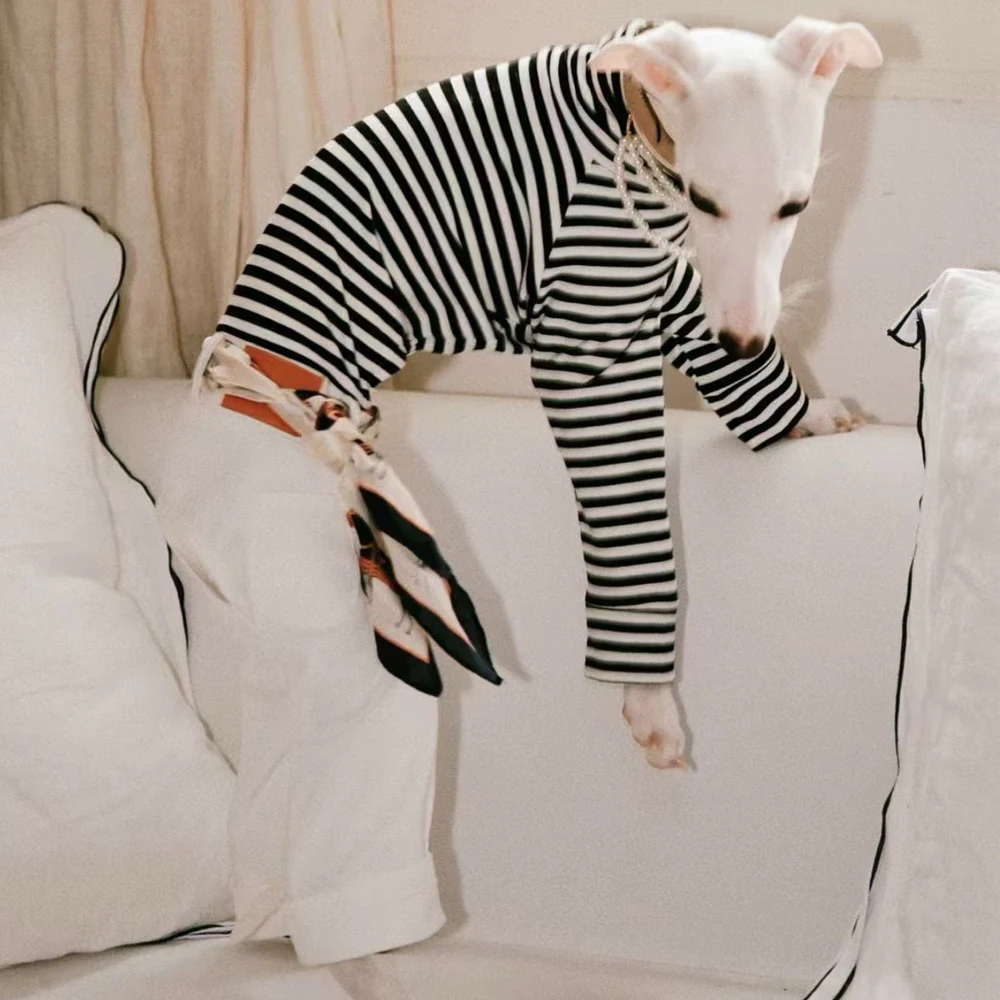 Ropa a rayas de moda para perros Whippet, mono de algodón de una pieza, camiseta, pantalones para galgo italiano Bedlington - imagen 4