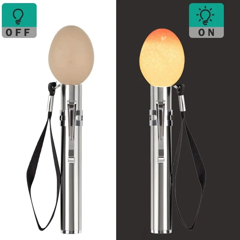 Lámpara LED probador de huevos para gallina, codorniz y canario - imagen 2